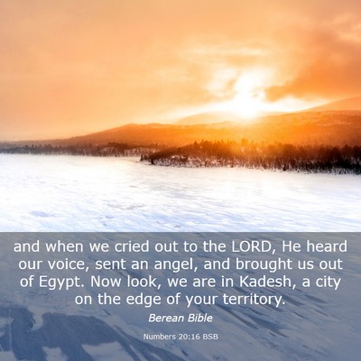 Picture 03 - Numbers 20:16 BSB - and when we cried out to the LORD, He heard our - Bible Verse Picture