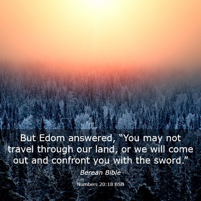 Picture 03 - Numbers 20:18 BSB - But Edom answered, “You may not travel through - Bible Verse Picture