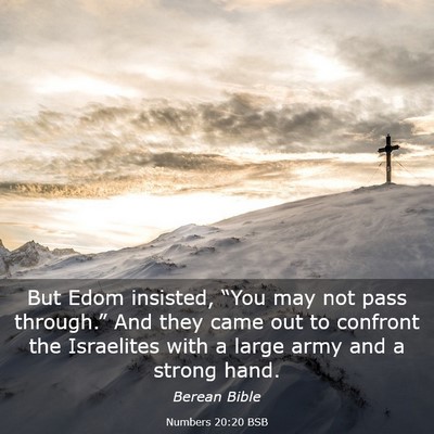 Picture 03 - Numbers 20:20 BSB - But Edom insisted, “You may not pass - Bible Verse Picture