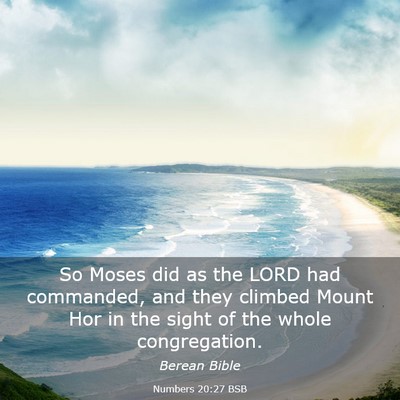 Picture 03 - Numbers 20:27 BSB - So Moses did as the LORD had commanded, and they - Bible Verse Picture