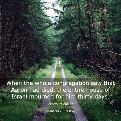 Picture 03 - Numbers 20:29 BSB - When the whole congregation saw that Aaron had - Bible Verse Picture