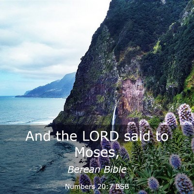 Picture 03 - Numbers 20:7 BSB - And the LORD said to - Bible Verse Picture