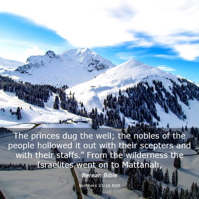 Picture 03 - Numbers 21:18 BSB - The princes dug the well; the nobles of the - Bible Verse Picture
