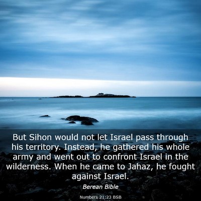 Picture 03 - Numbers 21:23 BSB - But Sihon would not let Israel pass through his - Bible Verse Picture
