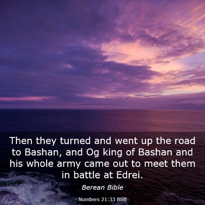 Picture 03 - Numbers 21:33 BSB - Then they turned and went up the road to Bashan, - Bible Verse Picture