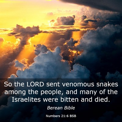 Picture 03 - Numbers 21:6 BSB - So the LORD sent venomous snakes among the - Bible Verse Picture