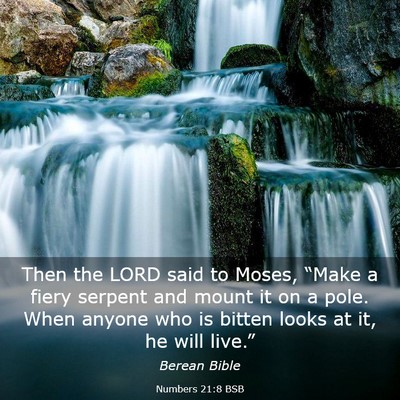 Picture 03 - Numbers 21:8 BSB - Then the LORD said to Moses, “Make a fiery - Bible Verse Picture