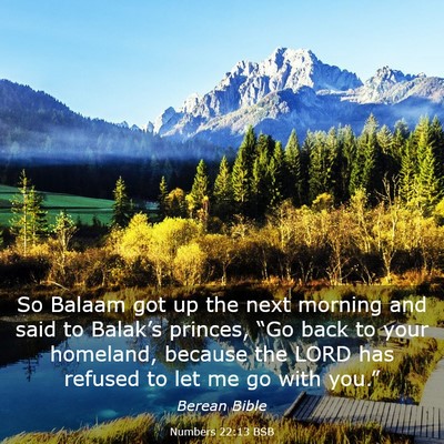 Picture 03 - Numbers 22:13 BSB - So Balaam got up the next morning and said to - Bible Verse Picture