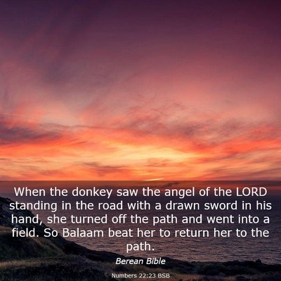 Picture 03 - Numbers 22:23 BSB - When the donkey saw the angel of the LORD - Bible Verse Picture