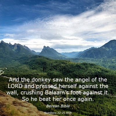 Picture 03 - Numbers 22:25 BSB - And the donkey saw the angel of the LORD and - Bible Verse Picture
