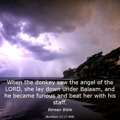 Picture 03 - Numbers 22:27 BSB - When the donkey saw the angel of the LORD, she - Bible Verse Picture