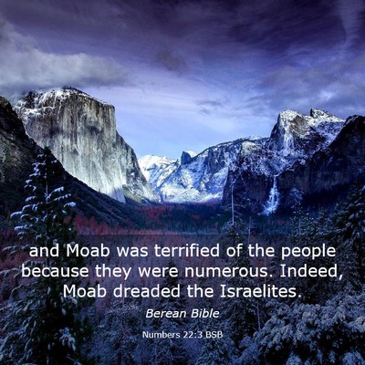 Picture 03 - Numbers 22:3 BSB - and Moab was terrified of the people because they - Bible Verse Picture
