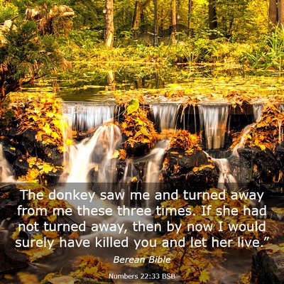 Picture 03 - Numbers 22:33 BSB - The donkey saw me and turned away from me these - Bible Verse Picture