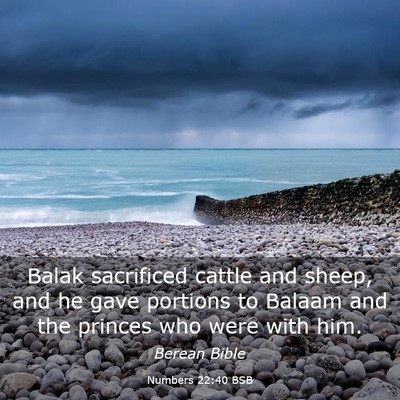 Picture 03 - Numbers 22:40 BSB - Balak sacrificed cattle and sheep, and he gave - Bible Verse Picture