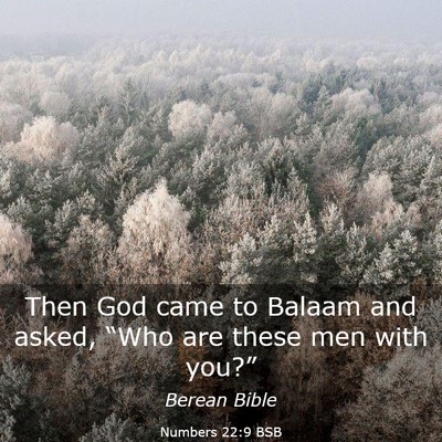 Picture 03 - Numbers 22:9 BSB - Then God came to Balaam and asked, “Who are - Bible Verse Picture