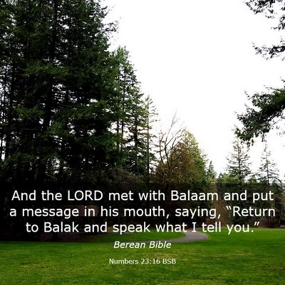 Picture 03 - Numbers 23:16 BSB - And the LORD met with Balaam and put a message in - Bible Verse Picture
