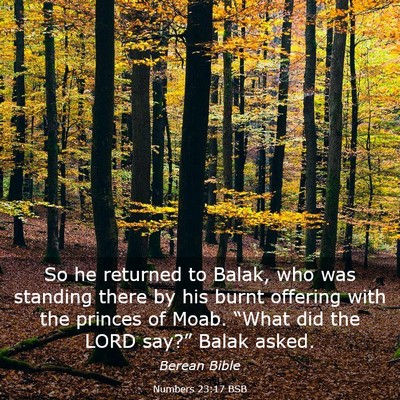Picture 03 - Numbers 23:17 BSB - So he returned to Balak, who was standing there - Bible Verse Picture