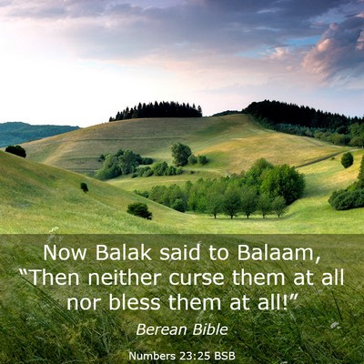 Picture 03 - Numbers 23:25 BSB - Now Balak said to Balaam, “Then neither curse - Bible Verse Picture