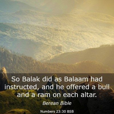 Picture 03 - Numbers 23:30 BSB - So Balak did as Balaam had instructed, and he - Bible Verse Picture