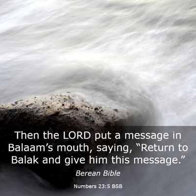 Picture 03 - Numbers 23:5 BSB - Then the LORD put a message in Balaam’s mouth, - Bible Verse Picture