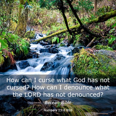 Picture 03 - Numbers 23:8 BSB - How can I curse what God has not cursed? How can - Bible Verse Picture