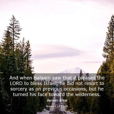 Picture 03 - Numbers 24:1 BSB - And when Balaam saw that it pleased the LORD to - Bible Verse Picture