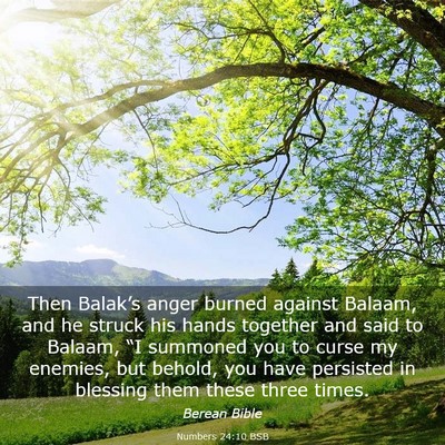 Picture 03 - Numbers 24:10 BSB - Then Balak’s anger burned against Balaam, and - Bible Verse Picture