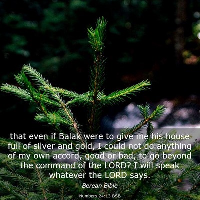 Picture 03 - Numbers 24:13 BSB - that even if Balak were to give me his house full - Bible Verse Picture