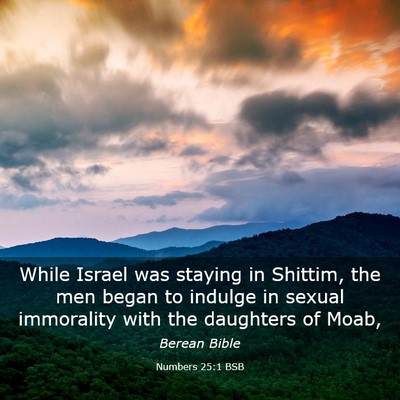 Picture 03 - Numbers 25:1 BSB - While Israel was staying in Shittim, the men - Bible Verse Picture