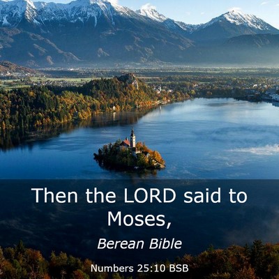 Picture 03 - Numbers 25:10 BSB - Then the LORD said to - Bible Verse Picture