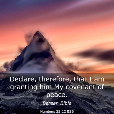 Picture 03 - Numbers 25:12 BSB - Declare, therefore, that I am granting him My - Bible Verse Picture