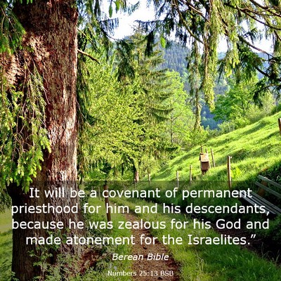 Picture 03 - Numbers 25:13 BSB - It will be a covenant of permanent priesthood for - Bible Verse Picture