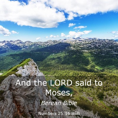 Picture 03 - Numbers 25:16 BSB - And the LORD said to - Bible Verse Picture