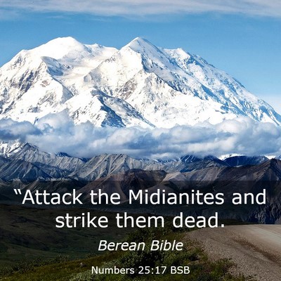 Picture 03 - Numbers 25:17 BSB - “Attack the Midianites and strike them - Bible Verse Picture