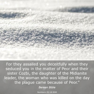 Picture 03 - Numbers 25:18 BSB - For they assailed you deceitfully when they - Bible Verse Picture