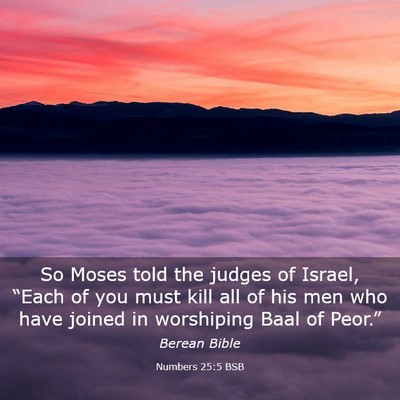 Picture 03 - Numbers 25:5 BSB - So Moses told the judges of Israel, “Each of - Bible Verse Picture