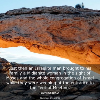 Picture 03 - Numbers 25:6 BSB - Just then an Israelite man brought to his family - Bible Verse Picture