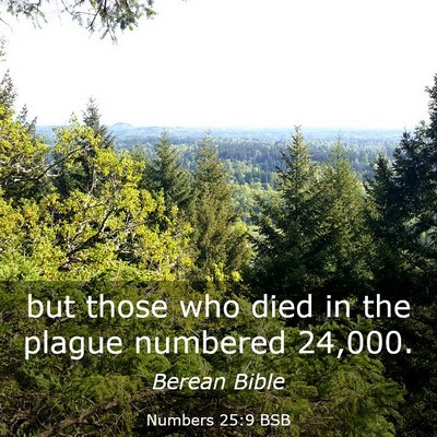 Picture 03 - Numbers 25:9 BSB - but those who died in the plague numbered - Bible Verse Picture