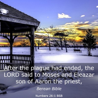 Picture 03 - Numbers 26:1 BSB - After the plague had ended, the LORD said to - Bible Verse Picture