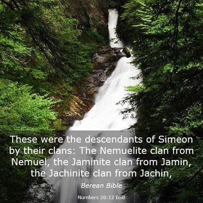 Picture 03 - Numbers 26:12 BSB - These were the descendants of Simeon by their - Bible Verse Picture