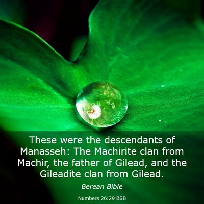 Picture 03 - Numbers 26:29 BSB - These were the descendants of Manasseh: The - Bible Verse Picture