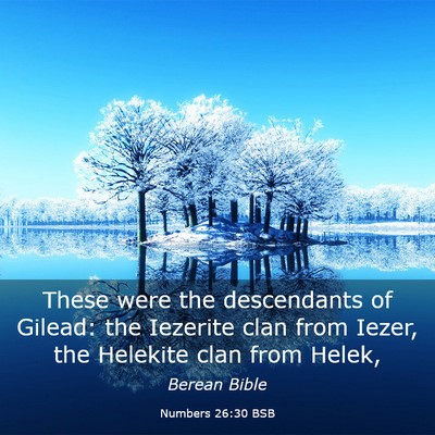 Picture 03 - Numbers 26:30 BSB - These were the descendants of Gilead: the - Bible Verse Picture