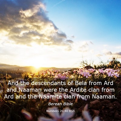 Picture 03 - Numbers 26:40 BSB - And the descendants of Bela from Ard and Naaman - Bible Verse Picture