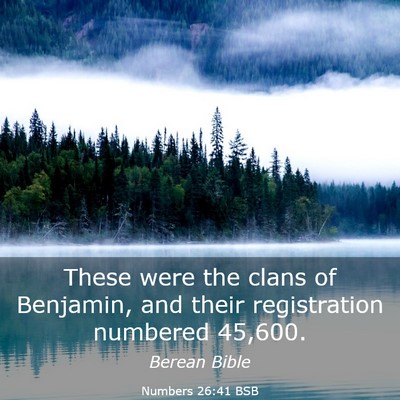 Picture 03 - Numbers 26:41 BSB - These were the clans of Benjamin, and their - Bible Verse Picture