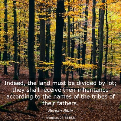 Picture 03 - Numbers 26:55 BSB - Indeed, the land must be divided by lot; they - Bible Verse Picture