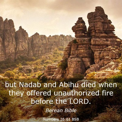 Picture 03 - Numbers 26:61 BSB - but Nadab and Abihu died when they offered - Bible Verse Picture
