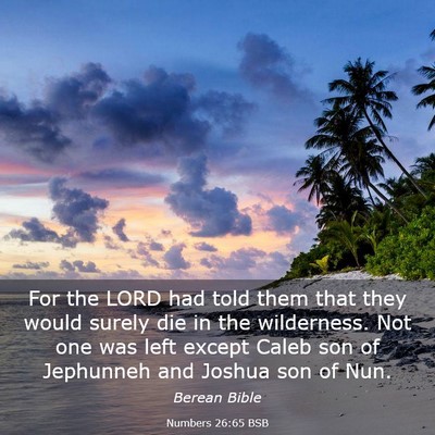 Picture 03 - Numbers 26:65 BSB - For the LORD had told them that they would surely - Bible Verse Picture