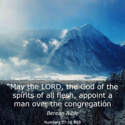 Picture 03 - Numbers 27:16 BSB - “May the LORD, the God of the spirits of all - Bible Verse Picture