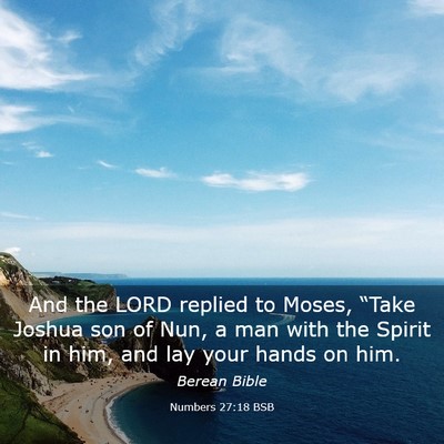 Picture 03 - Numbers 27:18 BSB - And the LORD replied to Moses, “Take Joshua son - Bible Verse Picture