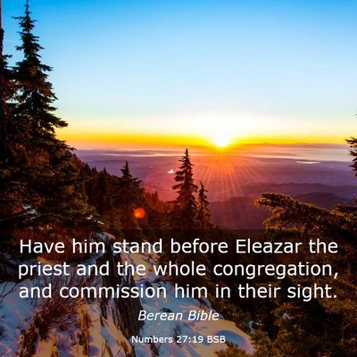 Picture 03 - Numbers 27:19 BSB - Have him stand before Eleazar the priest and the - Bible Verse Picture